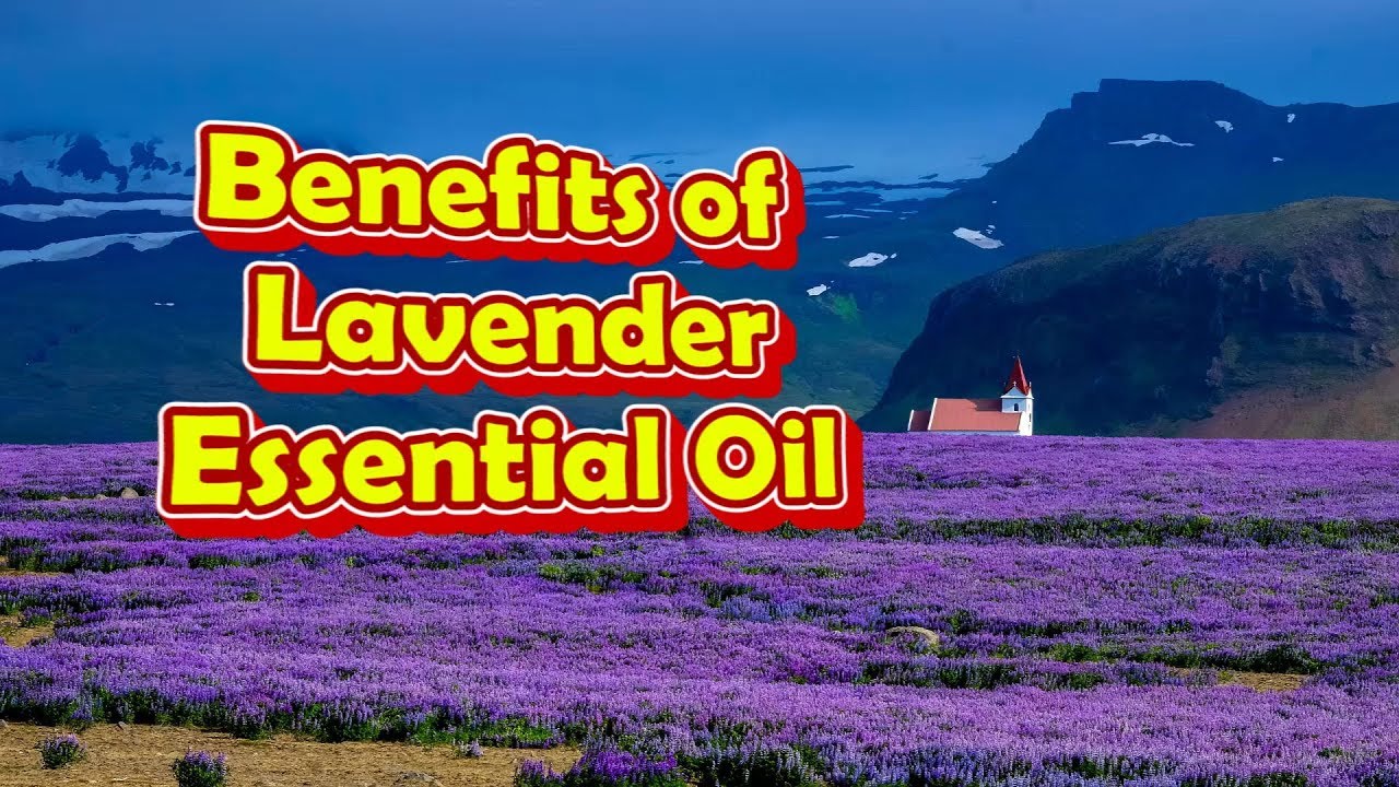Benefits of Lavender Essential Oil, Health Benefits of Lavender Oil