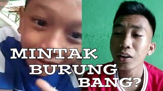 DI MINTAKIN BURUNG NJIR? AMA BOCAH!! - OME TV