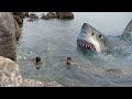 10 Angriest Sharks That Appeared Out Of Nowhere!