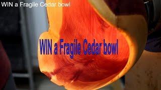 Win a bowl