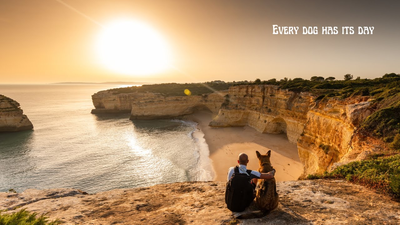 Riaan Smit - Every Dog Has Its Day