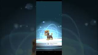 EVOLUSI POKEMON LITLEO | Pokemon Go Indonesia #shorts #pokemongoindonesia EVOLUSI POKEMON LITLEO | Pokemon Go Indonesia #shorts #pokemongoindonesia