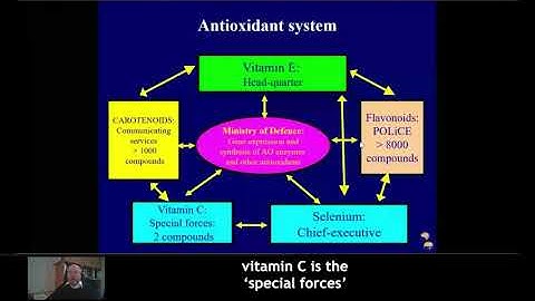 Mycotoxin and oxidative stress - MycoInfo 4/5