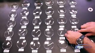 MJC Chemistry Lab: Activity Series 101