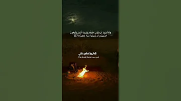 القارئ شادي هاني Youtubeshorts تلاوات خاشعة قرآن 