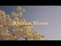 Room. - Uptown Bloom (Official Lyric Video)