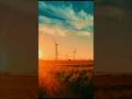 Windmill source of current #windmill #ytshorts #nature #windmills