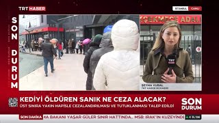 Kediyi Öldüren Sanık Için Savcı Tutukluluk İstedi