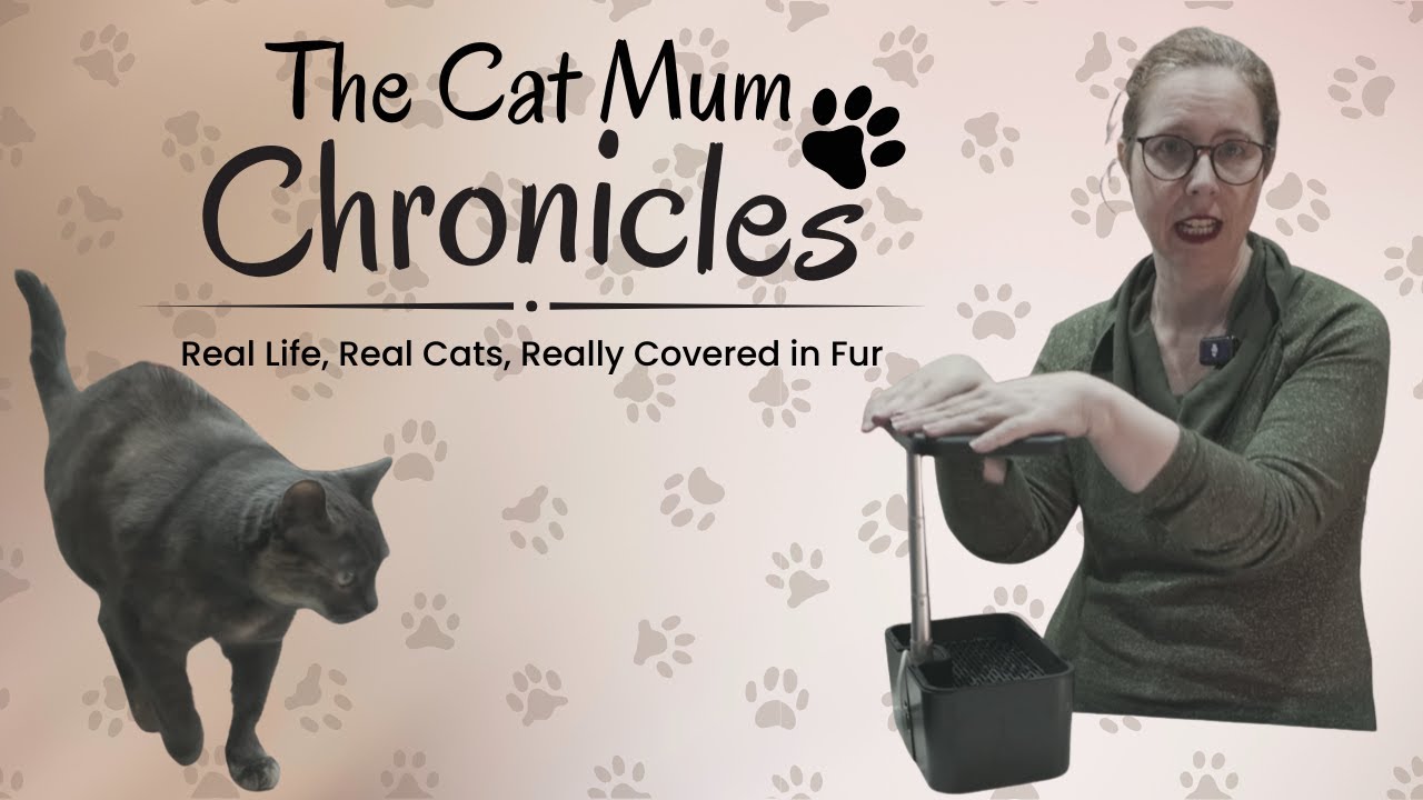 Cat Parents: Grow Cat Grass + Stop Cats Digging Plant