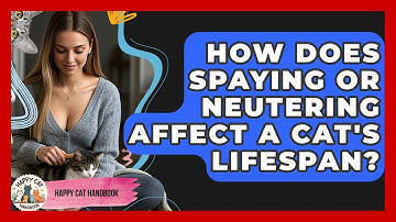 How Does Spaying Or Neutering Affect A Cat
