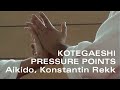 KOTEGAESHI NERVENDRUCKPUNKTE, Aikido und Kyusho Jitsu, Chudan Tsuki, Teil 3, von Konstantin Rekk