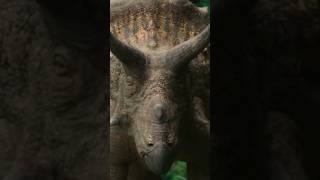 Did dinosaurs live in cave? #shorts #dinosaur_era #dinosaurs #facts #areruasonid #paleontology