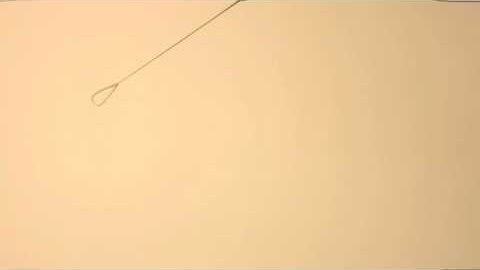 Pendulum Swing Animation