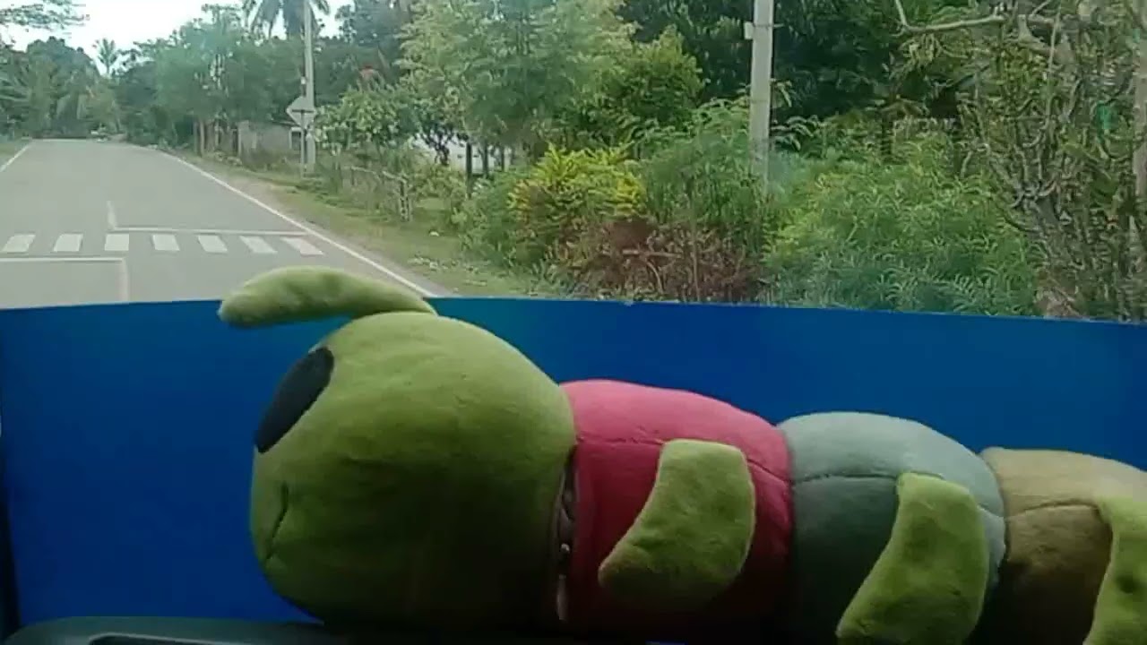 OTW DILI TOO SUAI 2022