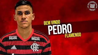 Pedro Bem Vindo Ao Flamengo ? Amazing Skills & Goals 20182019 Hd