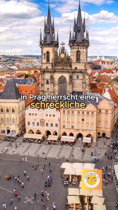Bester WITZ des Tages. Prag und die Taubenplage 🤣 witzigevideos 