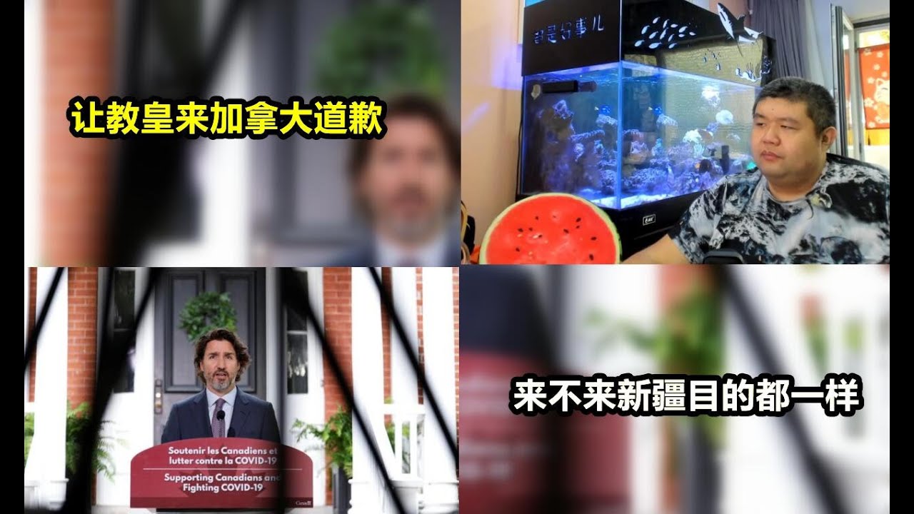 天天硬事775期 01 加拿大特鲁多终于雄起了 他要求教皇方济各来加拿大跟原住民道歉 为什么他自己不抗这个事02 联合国人权专员巴切莱特表示不来新疆也能拿到迫害证据 来不来目的都是为了经济而非人权