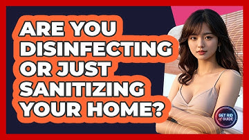 Are You Disinfecting Or Just Sanitizing Your Home? - Get Rid Of Guide