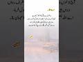 Islamic video2026#shortvideo#viralvideo #shortsمیدانِ عرفات کی دعائیں دل بدل دیتی ہیں 🌙