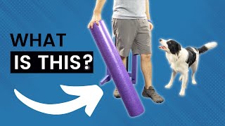 3 Ways To Do A Backside In Dog Agility by Trevor Smith - Doggie Dojo 2,728 views 1 year ago 7 minutes, 16 seconds