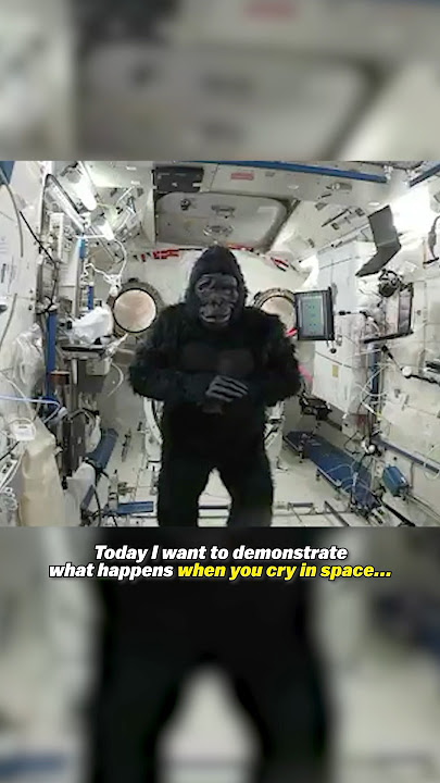 A Gorilla snuck onto the ISS!