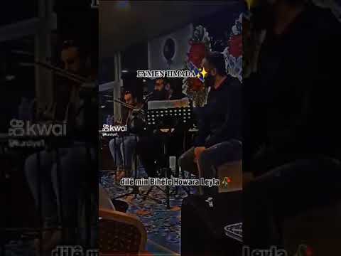هواري ليلى ليلى هواري ليلى