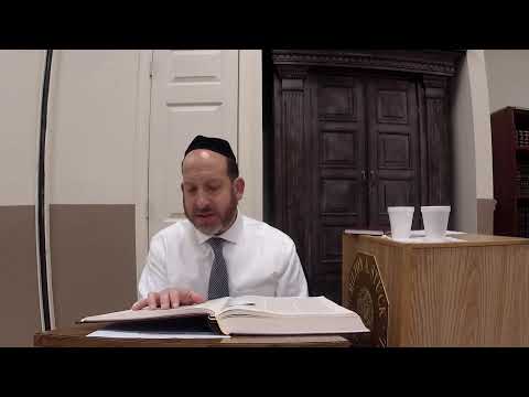 Bechoros 41 with Rabbi Shmuel Silber