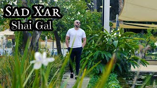 Shai Gal - Sad Xar | შაი გალ - სად ხარ (Official Video Clip) ახალი სიმღერა 2021