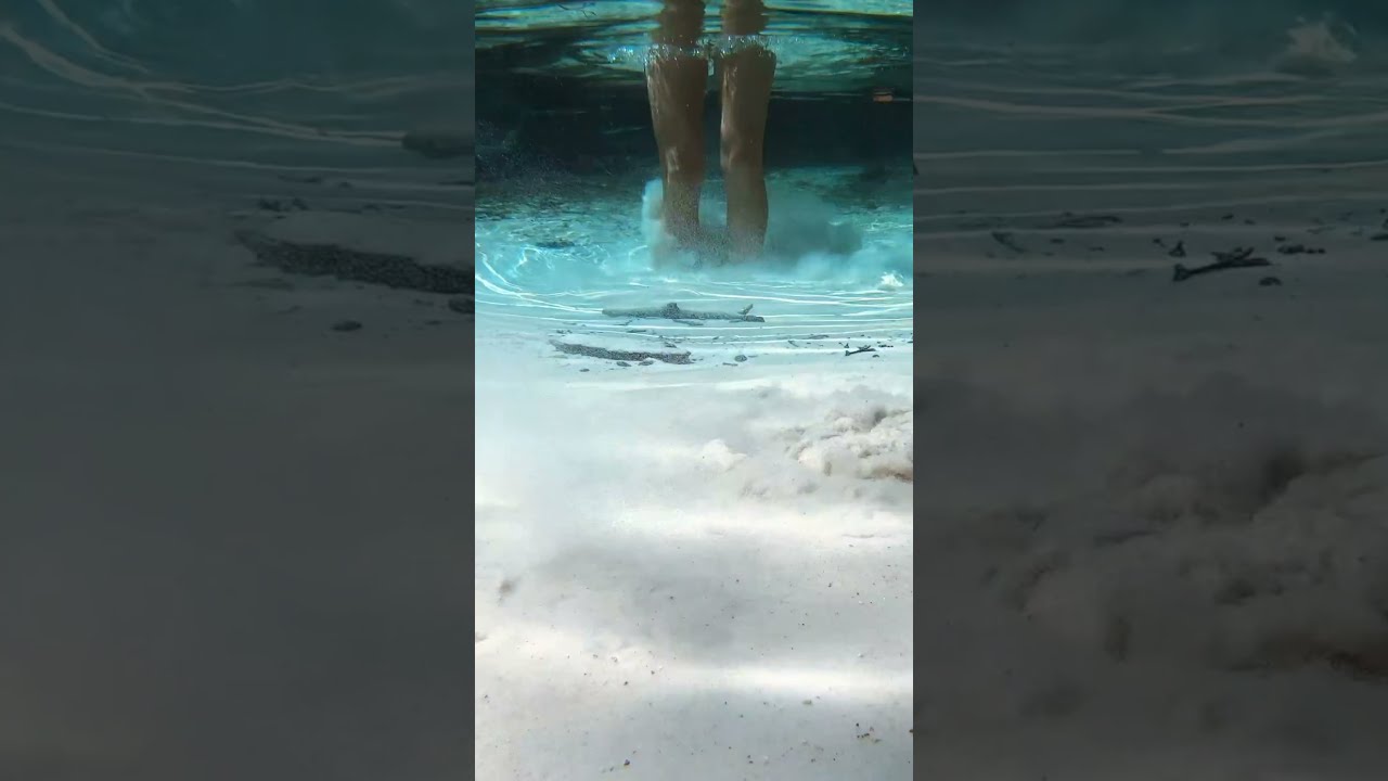 Quicksand 