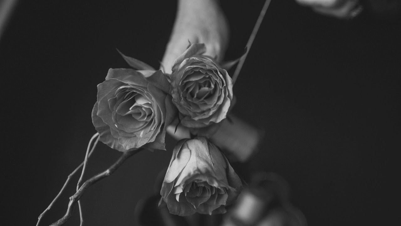 Obejrzyj Juan Sapia: Rose (Original Mix) w YouTube Obejrzyj Juan Sapia: Rose (Original Mix) w YouTube