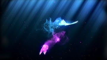 Irixex Colorful Butterflies Intro