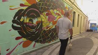 Travel tips for exploring Warrnambool with your dog  | S4 | Ep3 | Pooches at Play