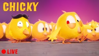 🔴 LIVE CARTOON | WHERE'S CHICKY | 🐥 Cartoon in English for Kids  | Live Stream
