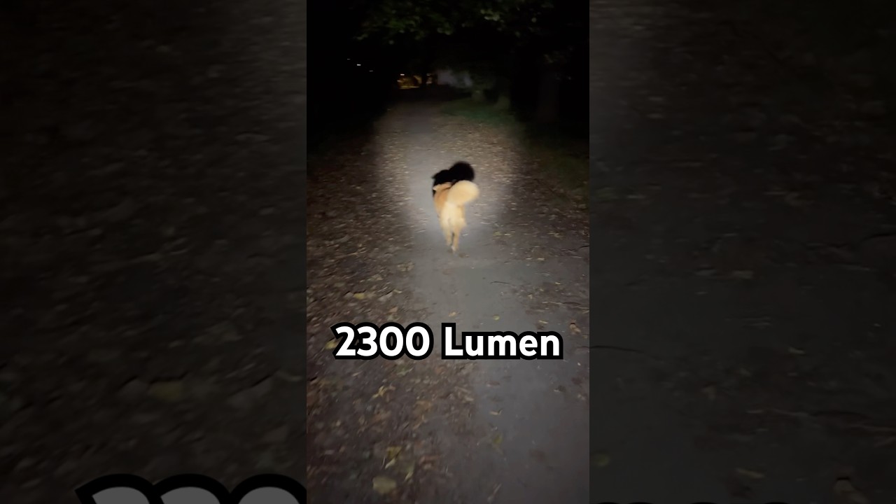 Mit Hund im Dunkeln: Olight Warrior 3S (2300 Lumen) im echten Gassi-Test 🌙🐕