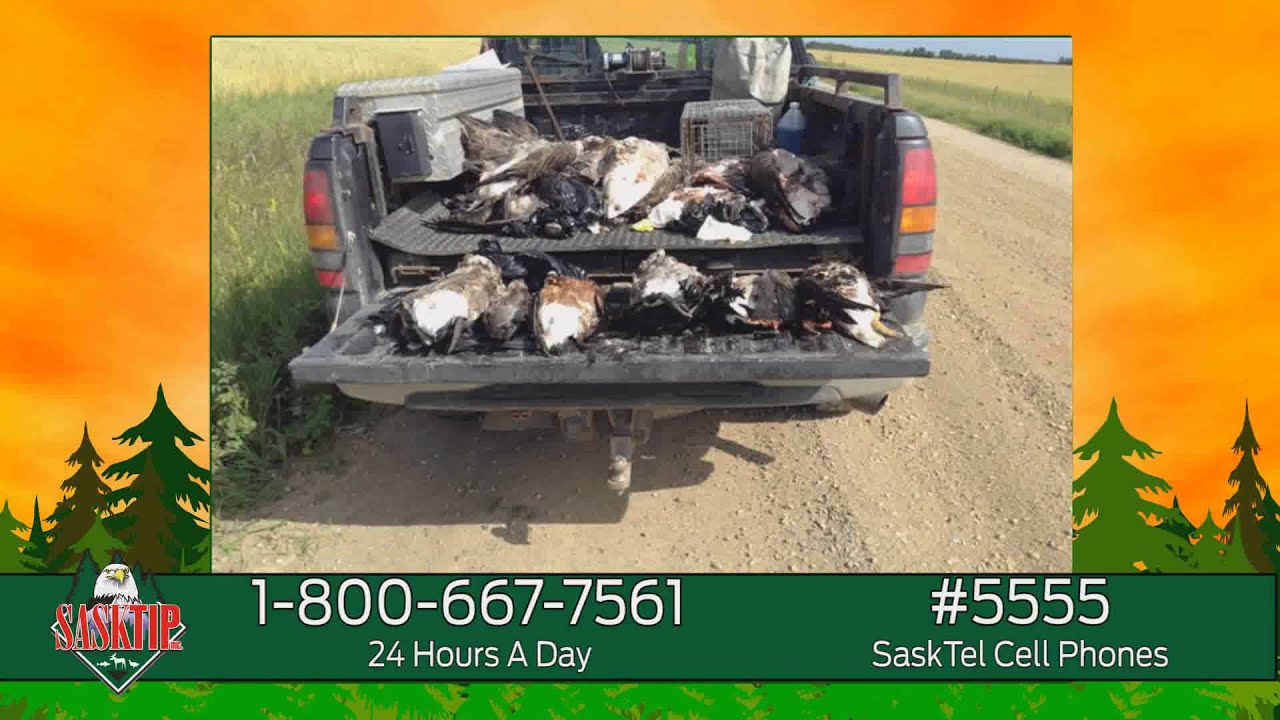 Sasktip Crime of the Month - September 2014