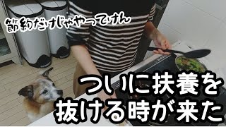 限界だってわかってはいた/いざ決まったら嫌になってる