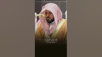 سورة المنافقون | ماهر المعيقلي