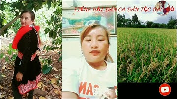 CLB HÁT PÁO DUNG ĐAK NÔNG TẬP 14#Tiếng Hát Dân Ca Dân Tộc Dao Đỏ#Iu miền páo dung...