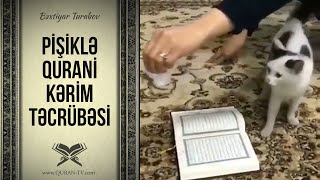 Pişiklə Qurani-Kərim Təcrübəsi Bəxtiyar Turabov