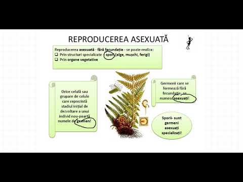 REPRODUCEREA ASEXUATĂ A PLANTELOR