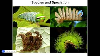1/21 - Ch. 21: Species and Speciation