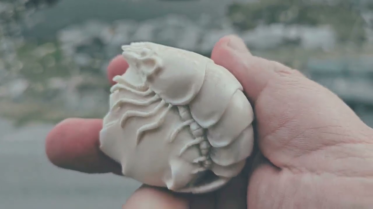 Scrimp / polar bear / shaman