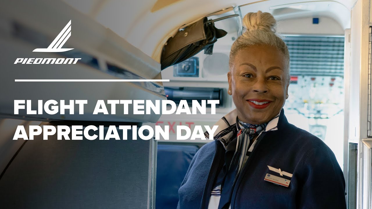 365 days cast flight attendant