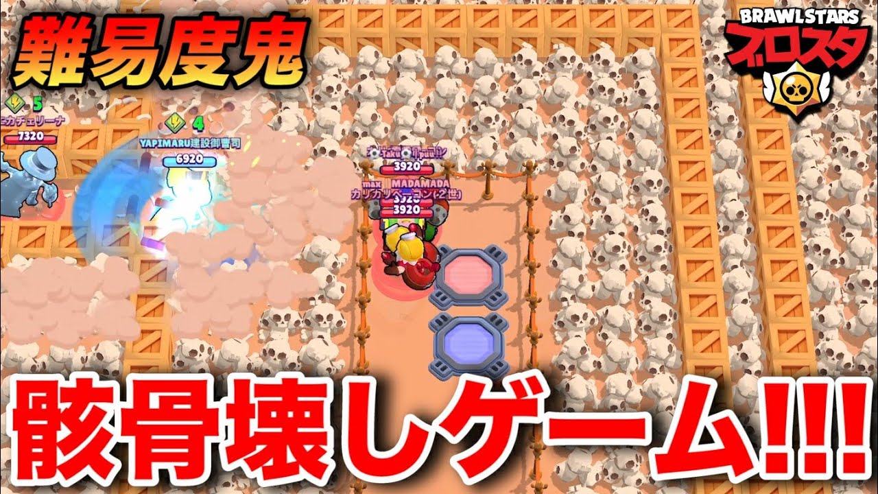 プマロス小苗1点【おまとめ1投稿につき100円引き】 桜めだか】小町1ペア MLサイズ 〜小野めだかブリード〜