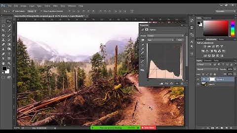 LEDP || Graphic Design - Class 07 || Gazipur