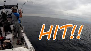 ジギング・アコウヒットシーン★使用ジグ：CB.マサムネ/2019年6月29日釣行