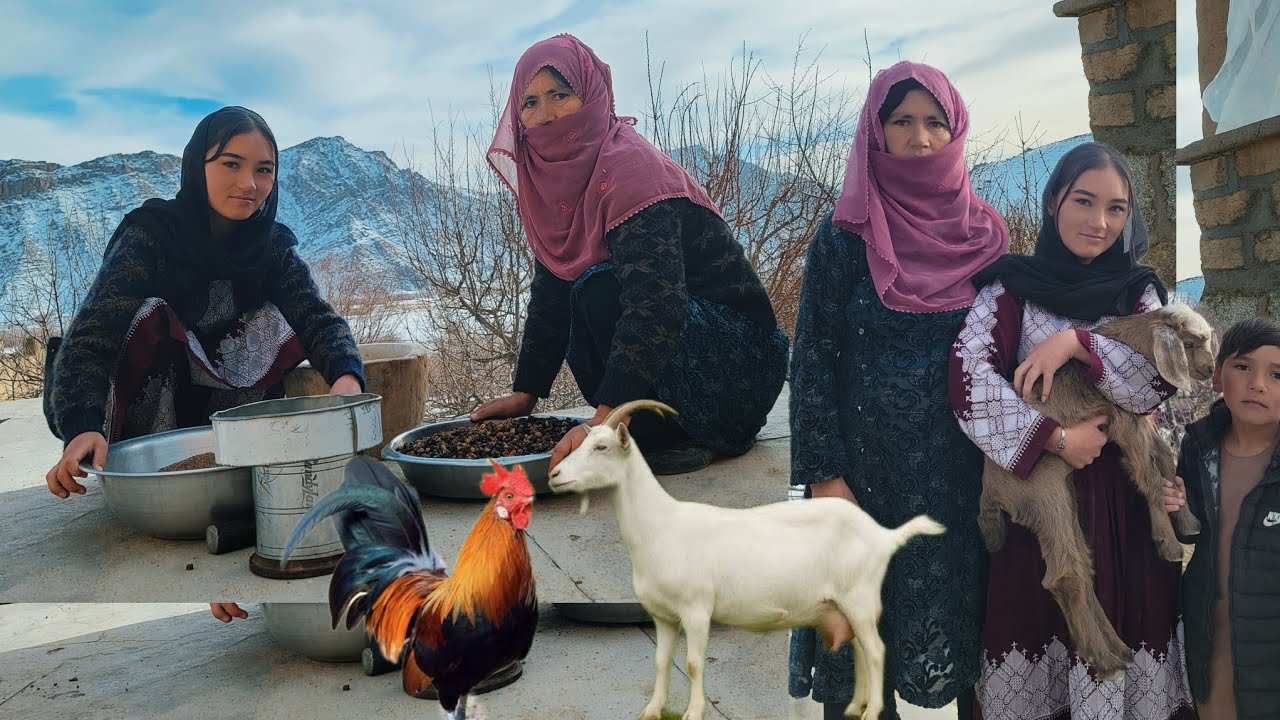 Making (Talkho) in a peacefull village/ Rural life in Afghanistan. #familyvlog @Kilkin- 