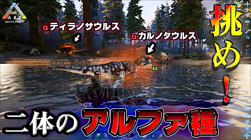 パズーズー パズーズー