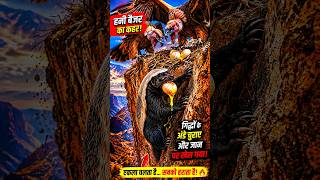 🔥हनी बैजर ने गिद्धों के अंडे चुराए 🔥Shocking Wildlife Story#shorts #indianwildlife #viral #wildindia