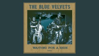 The Blue Velvets vidéo